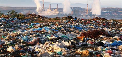 Facts About Land Pollution That Will Make You Sit Up in Shock