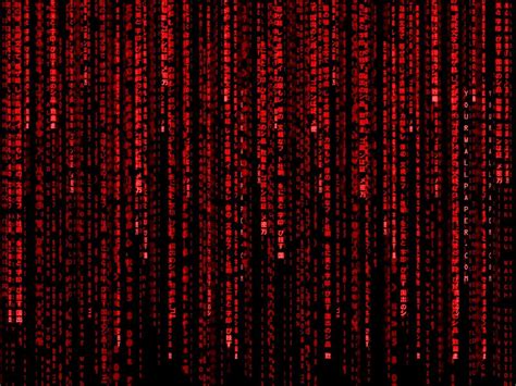 Red Binary Code Wallpapers - Top Free Red Binary Code Backgrounds - WallpaperAccess