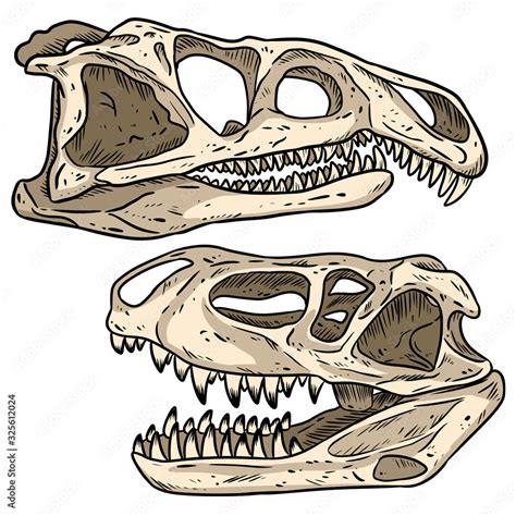 Carnivore dinosars skulls line hand drawn sketch image set. Archosaurus rossicus and ...