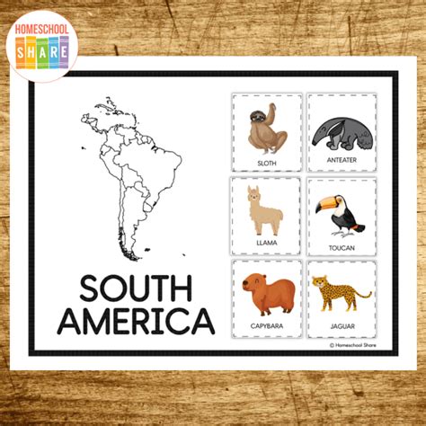 Animals and Their Continents Worksheet Set - Homeschool Share