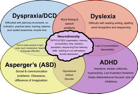 What Is Dyspraxia? - Teroes