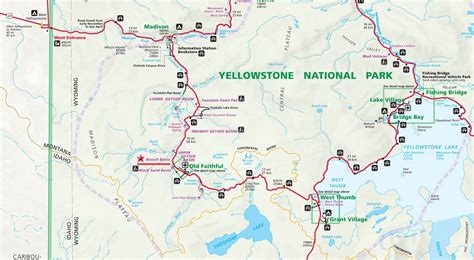 Yellowstone Volcano Recent Activity | Yellowstone national park, Yellowstone national, Yellowstone