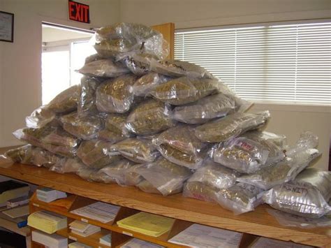 Drug bust after driver makes Oregon State Police trooper suspicious ...