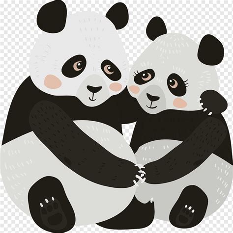 Panda gigante euclidiana dibujo ilustración, panda, mamífero, animales ...