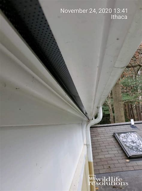 Soffit Strip Vent – PEST-BLOK