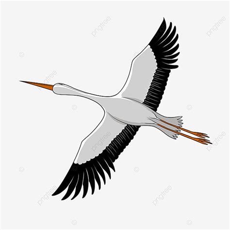 Flying Stork Clipart PNG Images, Flying White Stork Clipart, Spread Wings, Goofy, Snow White PNG ...