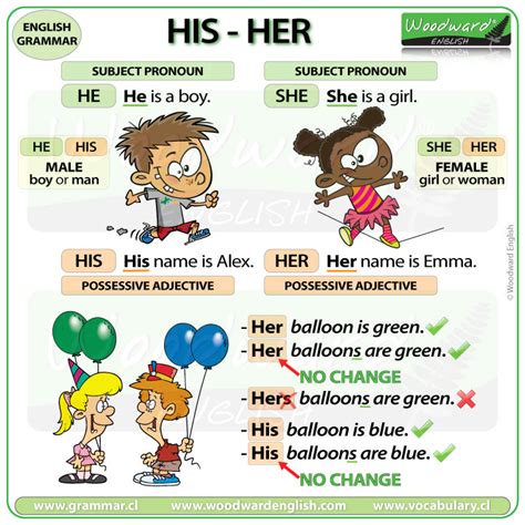 His – Her – Possessive Adjectives | Woodward English