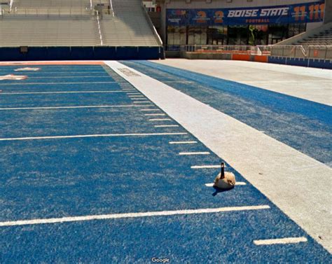 We have a Blue Football field. It confuses out of towners. | Odd Stuff ...