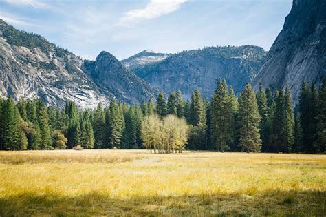 A field at the edge of an evergreen forest with steep granite faces in the background | Passive ...