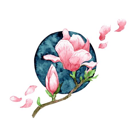 Premium Vector | Pink magnolia flowers. watercolor illustration of japanese magnolia tree.