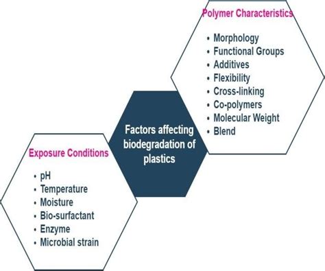 Factors affecting the process of biodegradation of plastics by... | Download Scientific Diagram