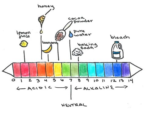 ph scale of banana bread | Lemon water, Baking soda, Pure products