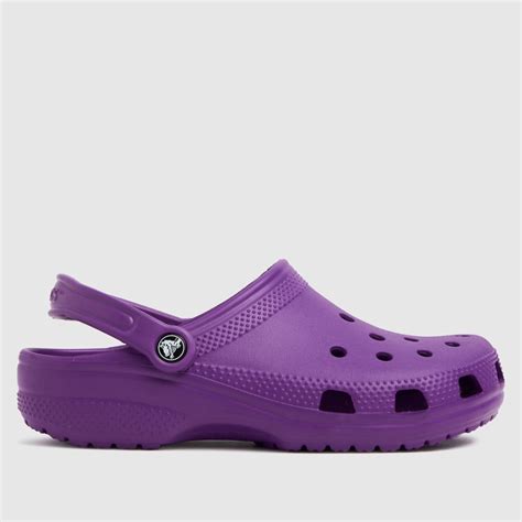 Crocs Purple Classic Clog Sandals - ShoeFreak