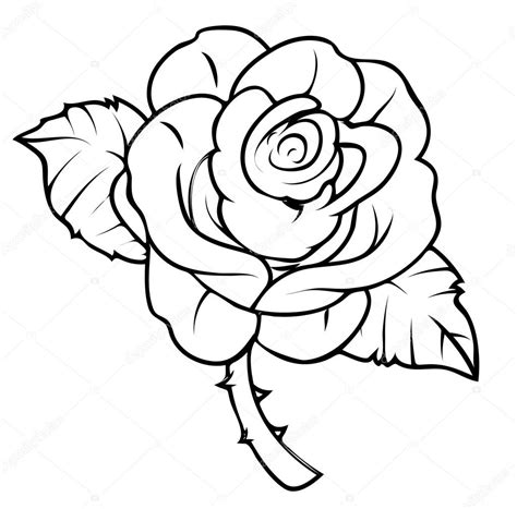 Rose Drawing — Stock Vector © baavli #64336191