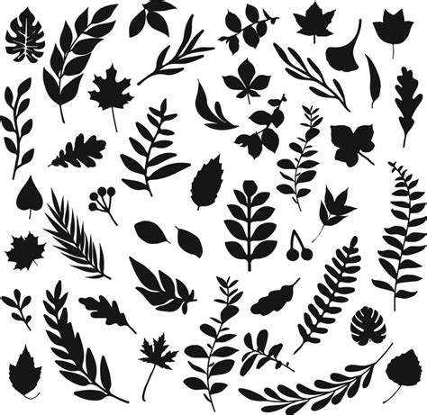 Leaf Silhouette Vector Art, Icons, and Graphics for Free Download