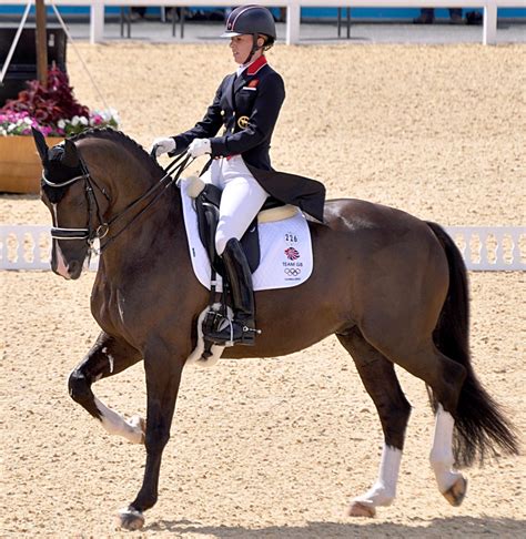 Dressage star Valegro is coming to Badminton - The Horse Exchange