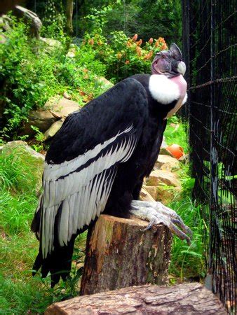 Brandywine Zoo (Wilmington, DE): Top Tips Before You Go - TripAdvisor