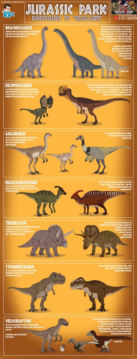 Jurassic Park (1993) Dinosaurs Vs. "Real-Life" Illustrated Infographic : r/JurassicPark