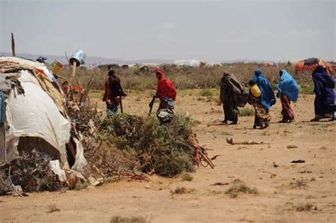 East Africa faces severe drought, delayed rains further cause of worry ...