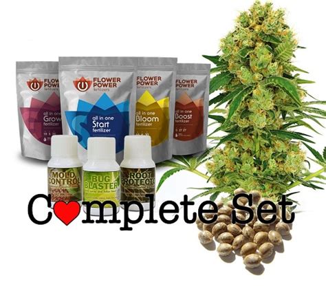 The Best Marijuana Seed Kits | Marijuana Seeds For Sale