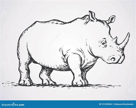 Rhinoceros. Vector Drawing | CartoonDealer.com #51334964