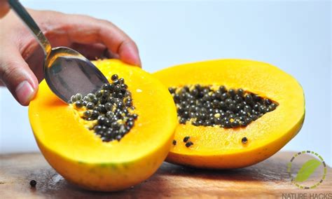 Health Benefits of Paw Paw Seeds----On Fow24news.com(Health Article ...