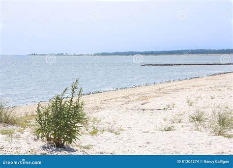 Beach on Dover, Delaware, USA Stock Photo - Image of shoreline, shore: 81304274