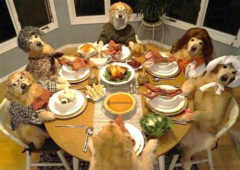 Are those Thanksgiving leftovers safe for your dog? - Hilarious Hound