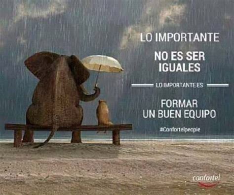 frases-de-trabajo-en-equipo-lograr-exito-union-motivacion-empleados ...