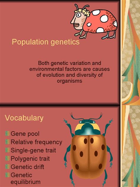 Genetic Diversity | PDF | Natural Selection | Evolution