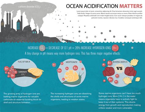 Ocean acidification infographic - Ocean Acidification