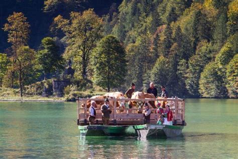 Gliding Across Lake Königsee [Boats and Fall Leaves]