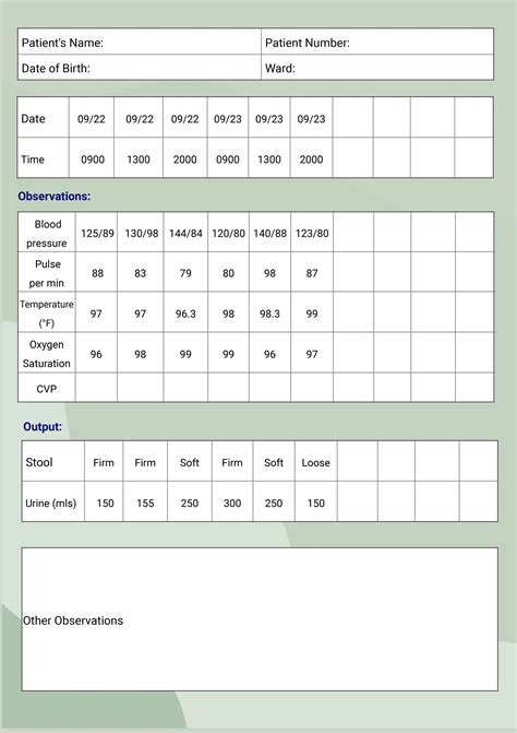 FREE Patient Chart Templates & Examples - Edit Online & Download | Template.net