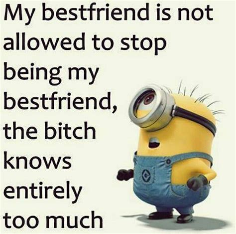 Pin by Margaret Christensen on friendship...images | Minions funny, Funny minion pictures, Funny ...