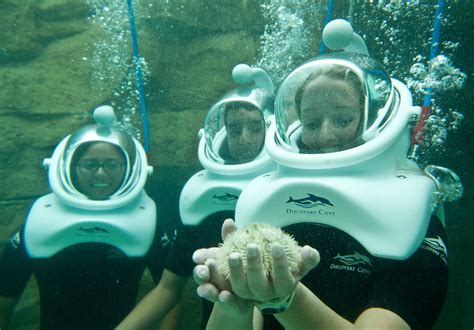 Discovery Cove Orlando - Aquatic Adventures For All the Family