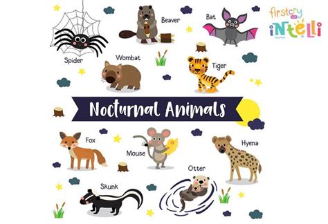 Teaching Your Kids About Nocturnal Animals