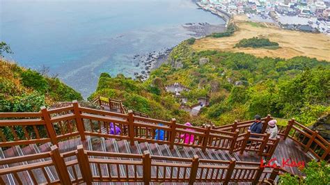 Easy short hike - Seongsan Ilchulbong, Seogwipo Traveller Reviews ...