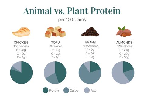 Plant Protein vs. Animal Protein: What's the difference? - Kay Nutrition