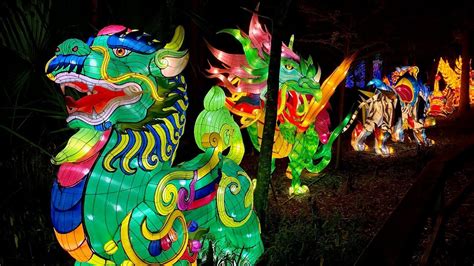 Central Florida Zoo Asian Lantern Festival: Into The Wild - YouTube