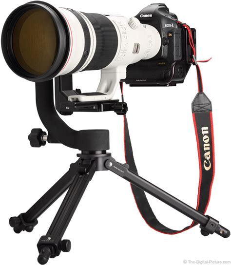 Canon EF 500mm f/4L IS II USM Lens Review