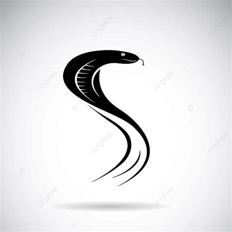 White Snake Vector Design Images, Vector Of Snake Design On White ...