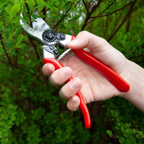 FELCO 2 One-Hand Pruning Shear Review: A Champ in the Garden