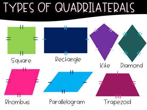 Types of Quadrilaterals Resource & Activity Set | Quadrilaterals, Vocabulary cards, Vocabulary ...