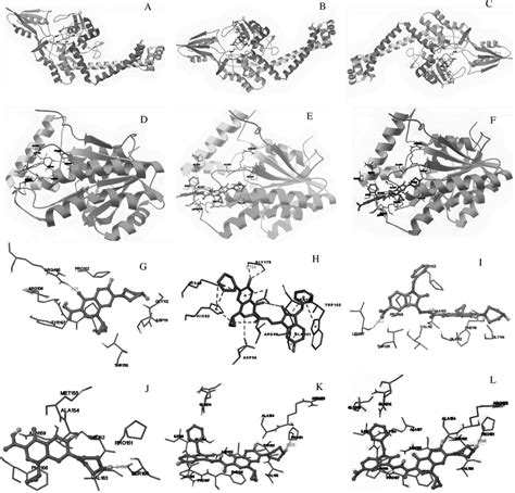 Docking Interactions of Ciprofloxacin, Compounds 5 and 6 with 3ILW and ...