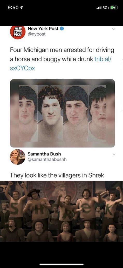 No they don’t look like the villagers in Shrek, they are the villagers ...