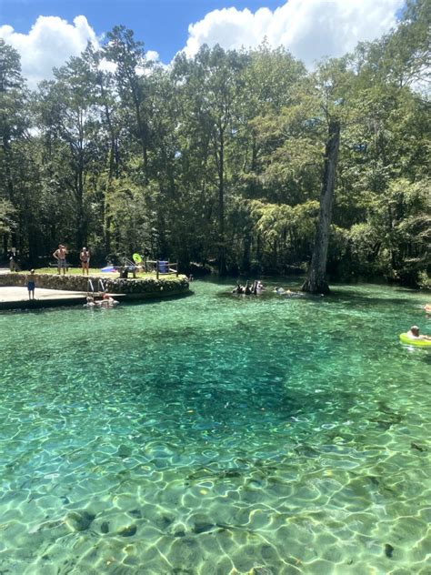 Family-Friendly Ponce de Leon Springs in Florida | Dutch Dutch Goose