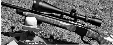 Best Scopes For 22-250 Rifles 2019: Vortex, Leupold, Nikon - RangetoReel