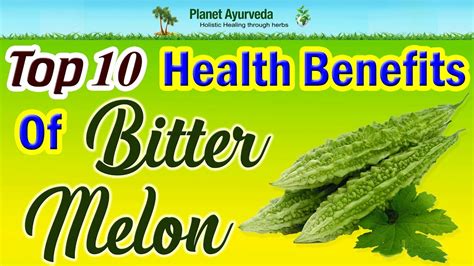 Top 10 Health Benefits of Bitter Melon - YouTube