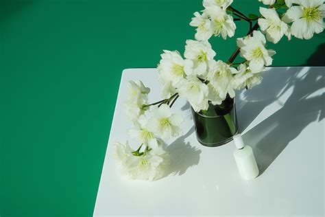 White Flowers On The White Table Background, Season, High Resolution, Flower Background Image ...