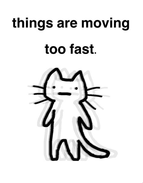 silly cat is moving too fast and having a mental breakdown Memes Estúpidos, Cat Memes, Silly ...